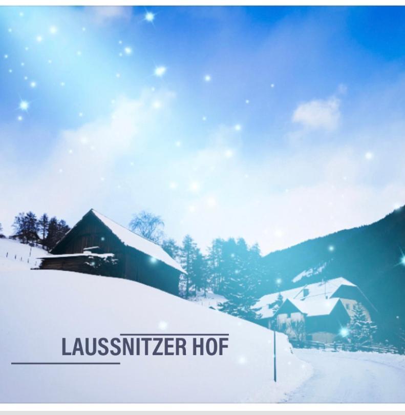 Ferienwohnung Biohof Laussnitzer In Rennweg Rennweg am Katschberg Exteriér fotografie