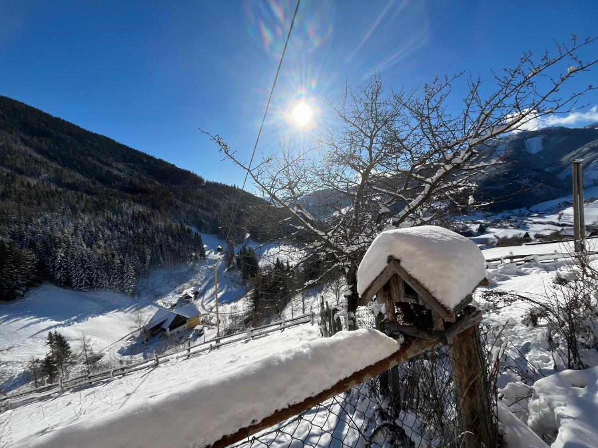 Ferienwohnung Biohof Laussnitzer In Rennweg Rennweg am Katschberg Exteriér fotografie