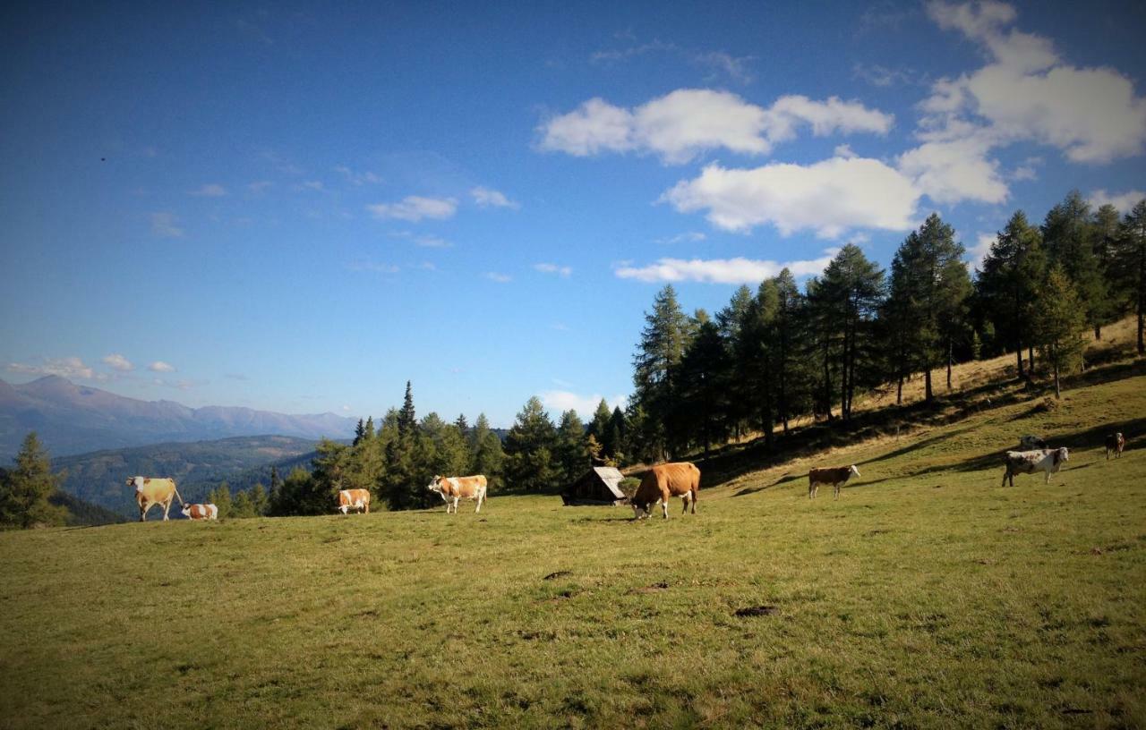 Ferienwohnung Biohof Laussnitzer In Rennweg Rennweg am Katschberg Exteriér fotografie