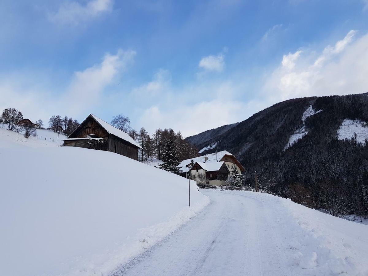 Ferienwohnung Biohof Laussnitzer In Rennweg Rennweg am Katschberg Exteriér fotografie
